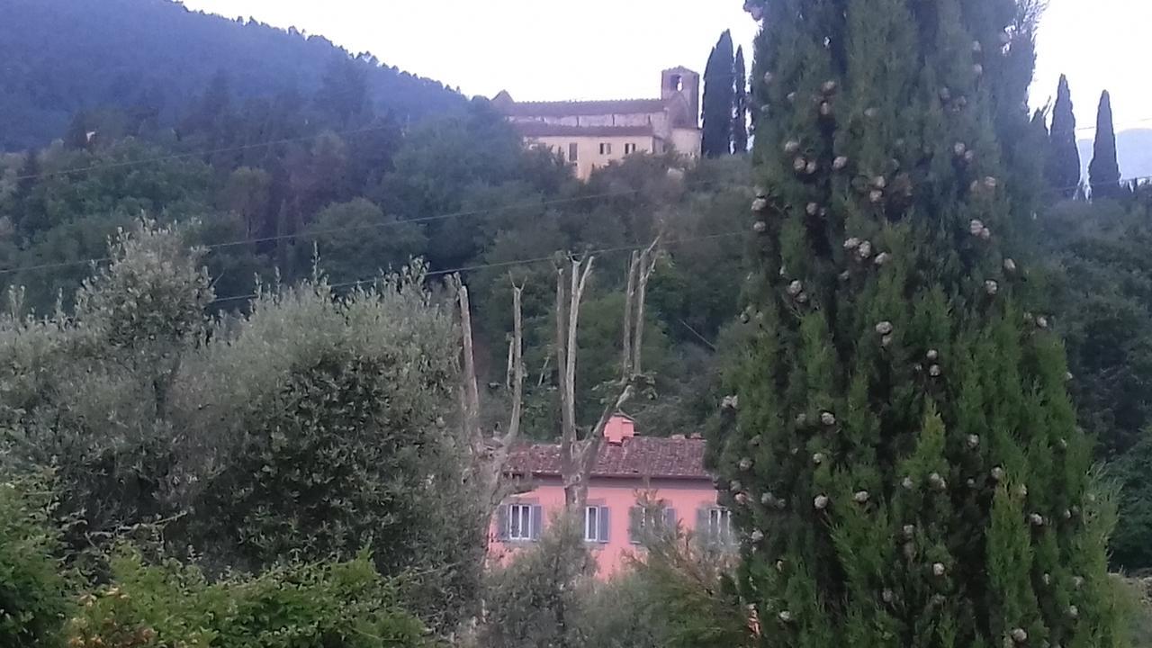 Villa Agnolaccio Residenza D'Epoca 피스토이아 외부 사진